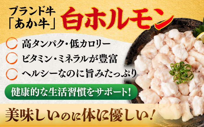 【全6回定期便】あか牛 白 ホルモン 約500g (約250g×2P) / 牛肉 褐毛和種 ホルモン 肉 九州産 国産牛 熊本県産 小分け あかうし 鍋 焼肉【五右衛門フーズ】 [BHCY011]