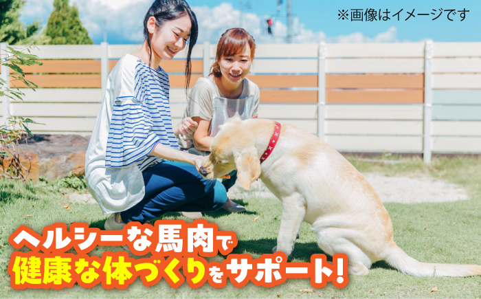 【全3回定期便】ペット用 馬刺しジャーキー 約100g(約50g×2) / ペットフード ドッグフード 愛犬 馬肉 ジャーキー おやつ ペットおやつ【五右衛門フーズ】 [BHCY062]