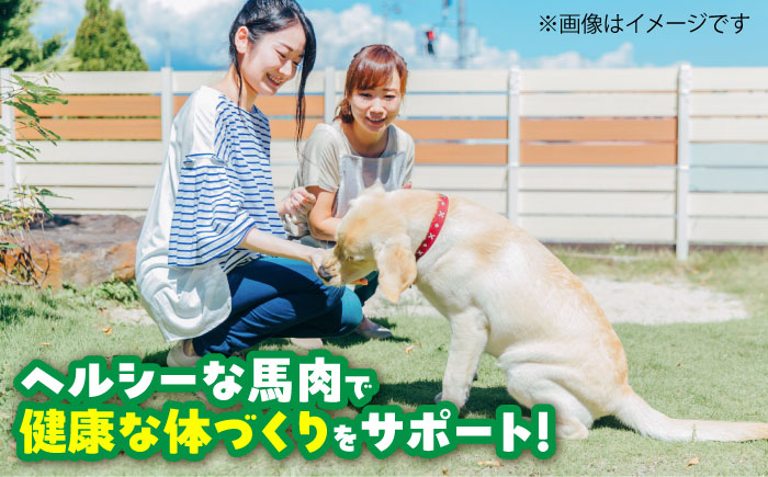 【全6回定期便】詰め合わせ 国内加工 ペット用 馬肉 切り落とし 約1kg ペット用 馬刺しジャーキー 約100g(約50g×2) / ペットフード ドッグフード 愛犬 馬肉【五右衛門フーズ】 [BHCY067]