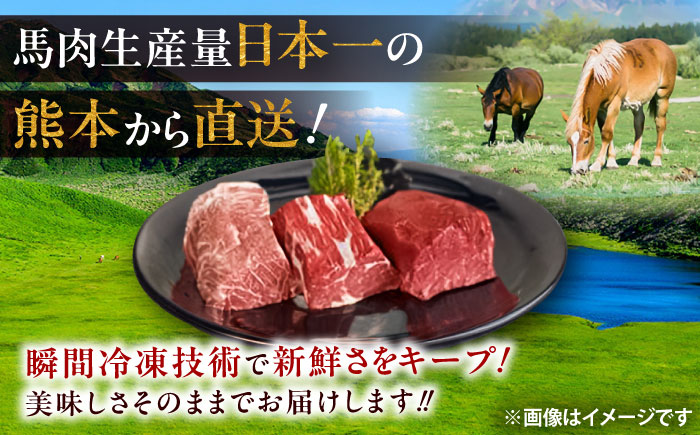 馬ウマ 焼肉セット (2～3人前) 合計 約400g / 馬さがり 馬上ホルモン 馬肉ソーセージ 焼肉 熊本県 特産品 馬肉【有限会社菊陽食肉センター】 [BHAC007]