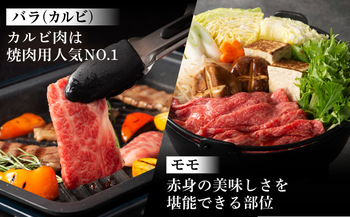 【年内発送は12月11日ご入金分まで！】「熊本特産馬刺しとくまもと黒毛和牛」フジチクオリジナル贅沢食べ比べセット 3905【株式会社フジチク】 [BHAD015]