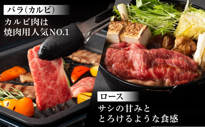 【全12回定期便】「フジチクオリジナル」ふじ馬刺しと藤彩牛の贅沢食べ比べセット 3906【株式会社フジチク】 [BHAD056]