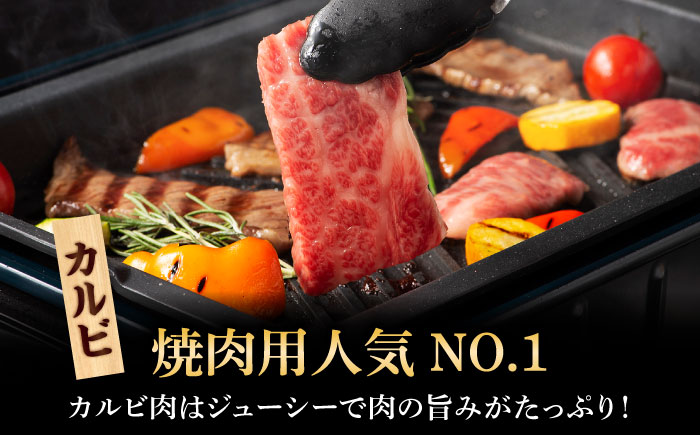 くまもと黒毛和牛「藤彩牛」焼肉用3種セット 計約900g 【株式会社フジチク】 [BHAD124]