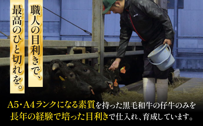 くまもと黒毛和牛「藤彩牛」サーロインステーキ 約400g【株式会社フジチク】 [BHAD126]