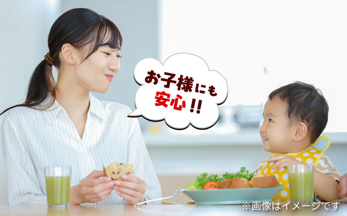 玄米パン ( グルテンフリー ) プレーン20個セット / 玄米 ぱん 熊本【株式会社熊本玄米研究所】 [BHAF004]