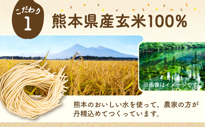 玄米パスタ スパゲッティ10袋セット / 玄米 パスタ 特産品 熊本【株式会社熊本玄米研究所】 [BHAF015]