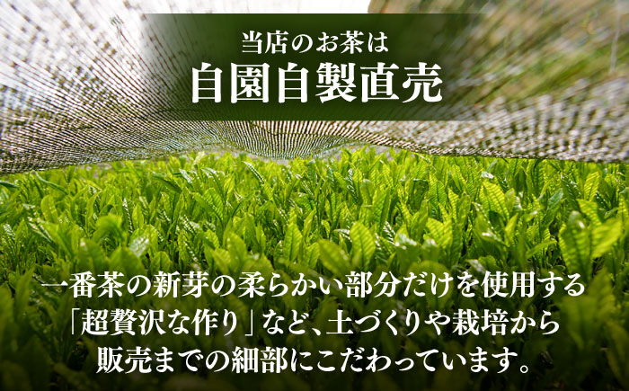 ふかむし茶　「極」 「誉」　2本詰め セット 計200g / ふかむし茶 お茶 緑茶 銘茶 茶葉 厳選 熊本県 菊陽 特産品【有限会社 お茶の福本園】 [BHAI005]