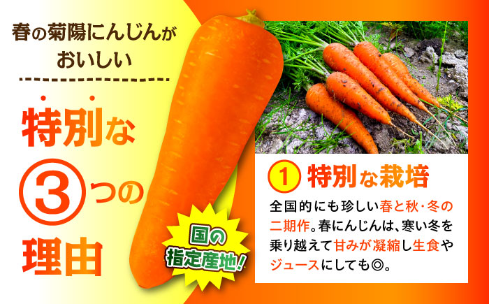 【数量限定】菊陽町の春にんじん 約10kg【有限会社さんふれあ】 [BHAK004]