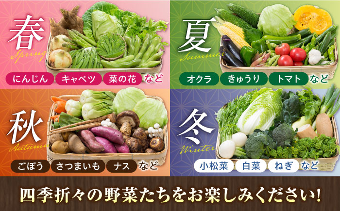 【全3回定期便】新鮮たまごと旬の野菜セット(野菜7~8品程度＋40個) / たまご 生卵 タマゴ 詰合せ セット 熊本県 特産品【有限会社さんふれあ】 [BHAK009]