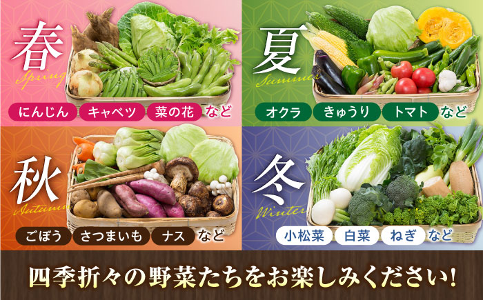 【全3回定期便】旬の 野菜セット (約3kg/野菜7-8品程度) / 野菜 新鮮 旬 詰合せ セット 熊本県 菊陽町 特産品 【有限会社さんふれあ】 [BHAK024]