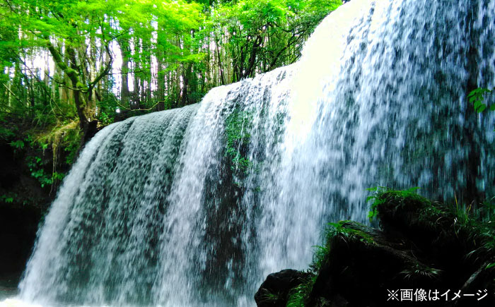 【全3回定期便】い・ろ・は・す(いろはす)阿蘇の天然水 2Lペットボトル×6本(1ケース) / ミネラルウォーター 非常用【コカ・コーラボトラーズジャパン株式会社】 [BHAO006]