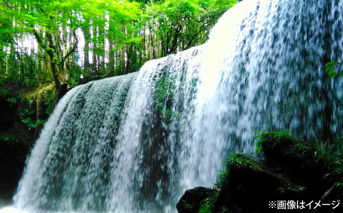 【全3回定期便】い・ろ・は・す(いろはす)阿蘇の天然水 2Lペットボトル×6本(2ケース) / ミネラルウォーター  非常用【コカ・コーラボトラーズジャパン株式会社】 [BHAO014]