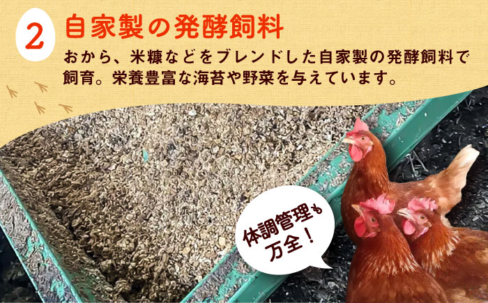 平飼い新鮮たまご 元気玉 計40個(10個×4パック) / 卵 ぷりぷり 新鮮 玉子 オムレツ たまごかけごはん 朝食 タンパク質 平飼い 濃厚 こく 熊本県 菊陽町【ぴよっこファーム】 [BHAP002]