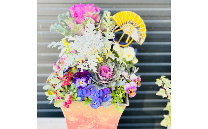 【先行予約】【12月上旬順次発送開始】新年を華やかに彩る お正月の寄せ植え(おまかせ) / 正月飾り 花苗 鉢 ピック【GreenlifeYoshimura】新年を華やかに彩る お正月の寄せ植え(おまかせ) / 正月飾り 花苗 鉢 ピック【GreenlifeYoshimura】 [BHBG001]