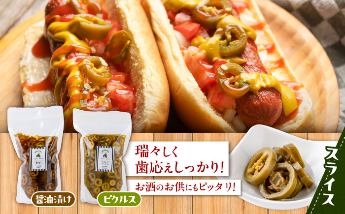 ハラペーニョ 醤油漬けとピクルス大容量セット / はらぺーにょ 醤油漬け ハラペーニョ ピクルス 唐辛子 調味料 2種 セット 菊陽町 熊本県【こびらオリーブ園】 [BHBL015]