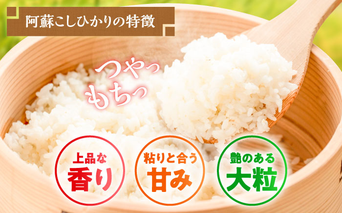 【令和7年産】熊本県産 阿蘇コシヒカリ 5kg 米【熊本パールライス株式会社】 [BHBP001]