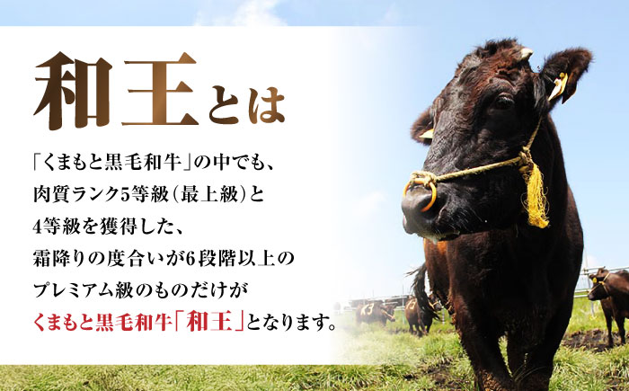 くまもと黒毛和牛 ｢和王｣ ヒレステーキ 計約320g (約160g×2枚) / 牛肉 和王 肉 ヒレ ひれ 希少部位 熊本県 菊陽町【菊池地域農業協同組合】 [BHBQ004]