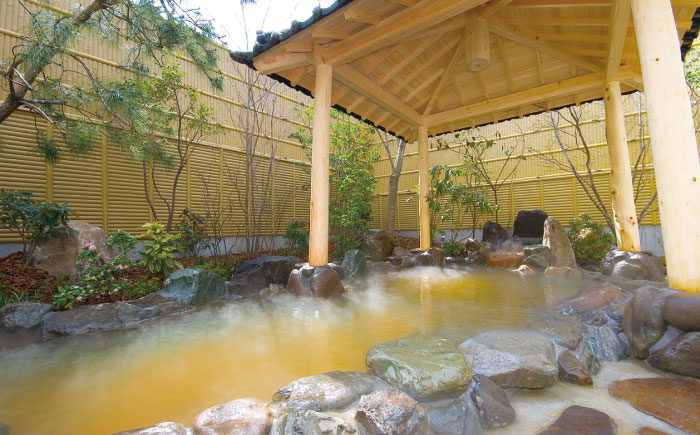 温泉入浴券 大谷の湯 日帰り温泉 入浴券 12枚 体験チケット【社会福祉法人青生会】 [BHCM002]