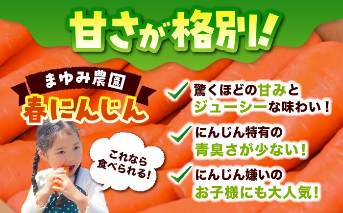 春にんじん10kg / ニンジン 野菜 β-カロテン 食物繊維 抗酸化作用 栄養満点 熊本県産 菊陽町 【株式会社 まゆみ農園】 [BHCW001]