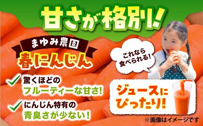 春にんじん10kg(訳あり) / ニンジン 規格外 ジュース 野菜 β-カロテン 食物繊維 抗酸化作用 栄養満点 熊本県産 菊陽町【株式会社 まゆみ農園】 [BHCW002]
