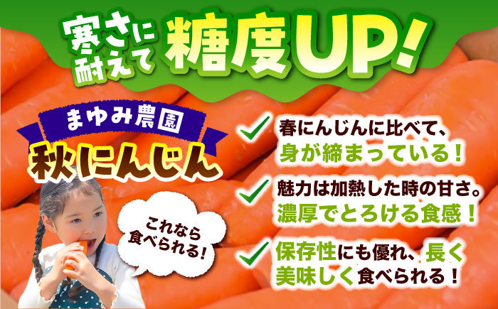 秋にんじん10kg / ニンジン 野菜 β-カロテン 食物繊維 抗酸化作用 栄養満点 熊本県産 菊陽町　【株式会社 まゆみ農園】 [BHCW006]