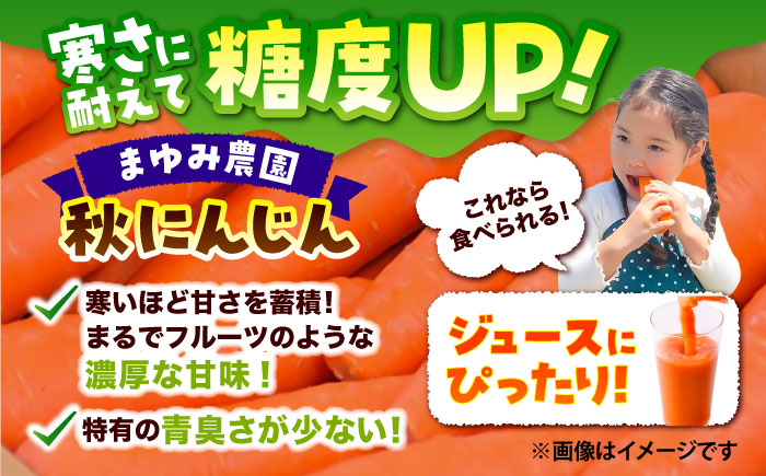 ジュース用秋にんじん(訳あり) / ニンジン 規格外 ジュース β-カロテン 食物繊維 抗酸化作用 熊本県産 菊陽町 【株式会社 まゆみ農園】 [BHCW007]