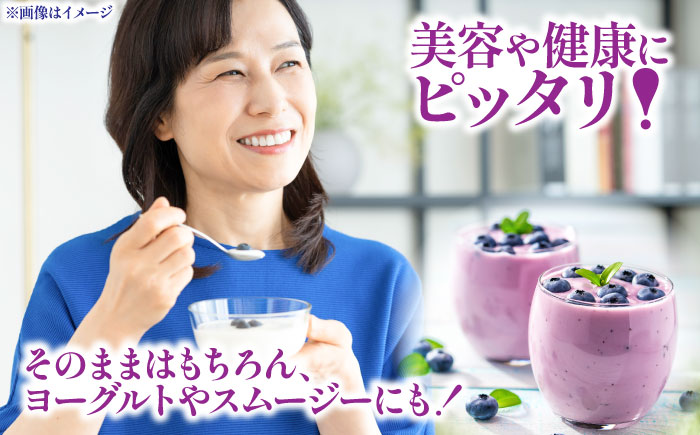 青い宝石 国産 急速冷凍ブルーベリー 計約1kg（約500g×2袋） 果物 くだもの フルーツ ぶるーべりー 熊本県 菊陽町【アグファーム株式会社】 [BHCX005]