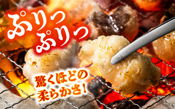 【全12回定期便】あか牛 白 ホルモン 約500g (約250g×2P) / 牛肉 褐毛和種 ホルモン 肉 九州産 国産牛 熊本県産 小分け あかうし 鍋 焼肉【五右衛門フーズ】 [BHCY012]