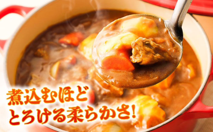 【全6回定期便】馬スジ 約1kg (約500g×2パック) / 馬肉 スジ 馬すじ 煮込み 煮物 カレー お肉 スジ肉 スジ すじ肉 料理用 馬 肉 熊本 すじ【五右衛門フーズ】 [BHCY043]