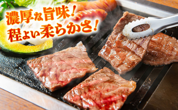 【全3回定期便】熊本あか牛 焼肉用カット(バラ ロース) 約500g / 熊本県 あか牛 あかうし 和牛 焼肉 ロース バラ 牛肉 お肉 褐毛和種 冷凍 国産【五右衛門フーズ】 [BHCY046]