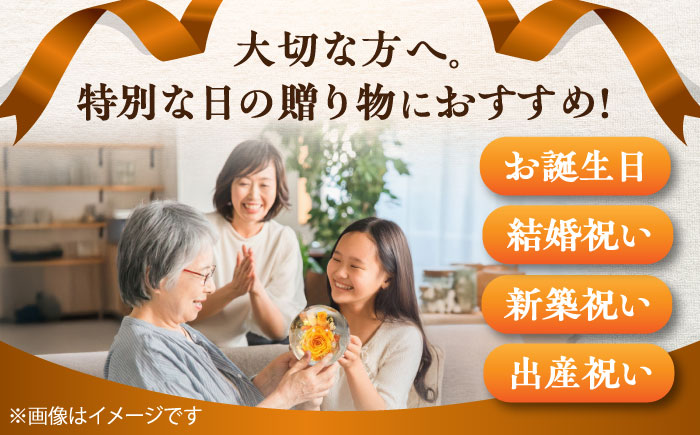 プリザーブドフラワー　ガラスドーム (オレンジ) / 花 プレゼント 贈答用 ガラス 母の日 父の日 入学式 卒業式 菊陽町 熊本県【株式会社 美向】 [BHDC001]