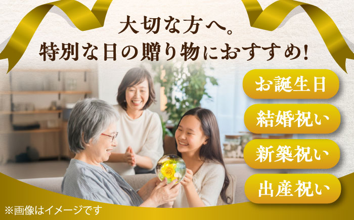 プリザーブドフラワー　ガラスドーム (黄色) / 花 プレゼント 贈答用 ガラス 母の日 父の日 入学式 卒業式 菊陽町 熊本県【株式会社 美向】 [BHDC003]