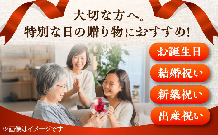 プリザーブドフラワー　ガラスドーム (赤) / 花 プレゼント 贈答用 ガラス 母の日 父の日 入学式 卒業式 菊陽町 熊本県【株式会社 美向】 [BHDC004]