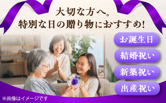 プリザーブドフラワー　ガラスドーム (紫) / 花 プレゼント 贈答用 ガラス 母の日 父の日 入学式 卒業式 菊陽町 熊本県【株式会社 美向】 [BHDC005]