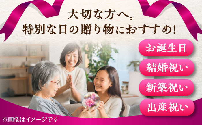 プリザーブドフラワー　ガラスドーム (ピンク) / 花 プレゼント 贈答用 ガラス 母の日 父の日 入学式 卒業式 菊陽町 熊本県【株式会社 美向】 [BHDC006]
