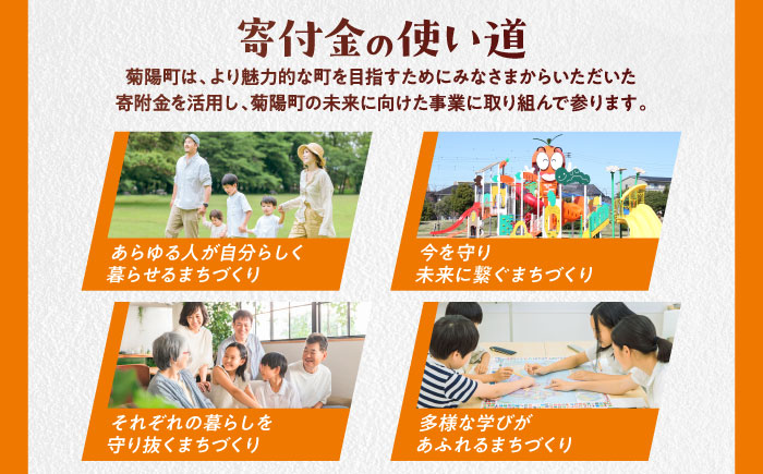 【応援寄附金】熊本県菊陽町 1口 10万円 返礼品なしのご寄附　【菊陽町】 [BHZZ005]