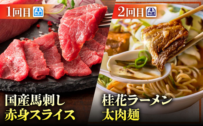 【菊陽町よりすぐり6回定期便】 菊陽町の人気の返礼品が毎月届く！ / 肉 馬刺し 馬肉 赤身 ハンバーグ 味噌 ラーメン [BHZZ008]