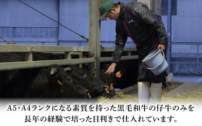 【全12回定期便】くまもと黒毛和牛「藤彩牛」厳選4種の贅沢セット 3904【株式会社フジチク】 [BHAD050]