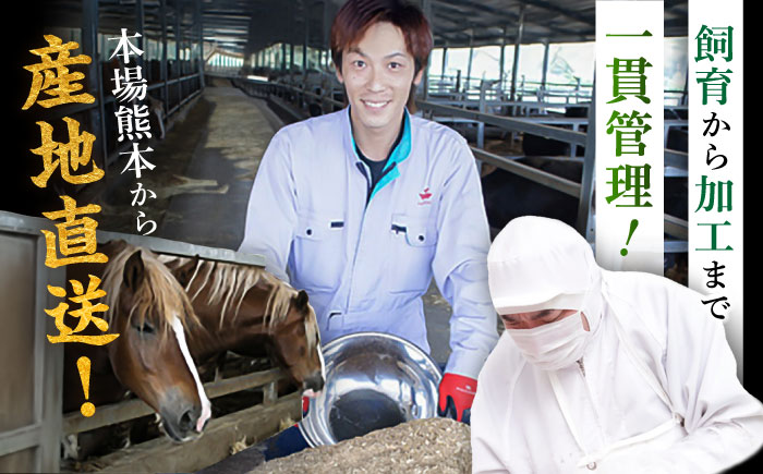 【全6回定期便】「フジチク」ユッケ2種の贅沢食べ比べセット【株式会社フジチク】 [BHAD114]