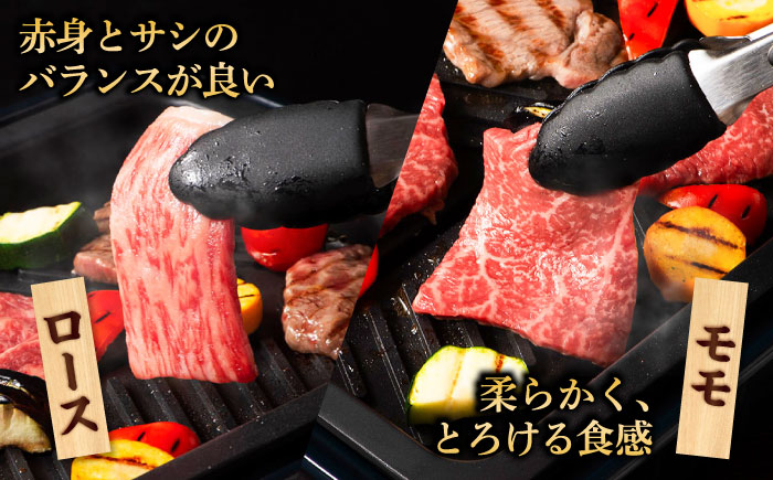 くまもと黒毛和牛「藤彩牛」焼肉用3種セット 計約900g 【株式会社フジチク】 [BHAD124]