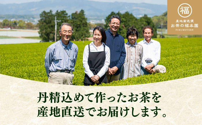 ふかむし茶 5本詰め セット 計500g / お茶 日本茶 深蒸し茶 受賞 濃厚 自社農園 熊本県 菊陽【有限会社 お茶の福本園】 [BHAI010]