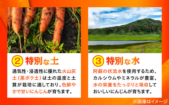 【数量限定】菊陽町の春にんじん 約3kg【有限会社さんふれあ】 [BHAK003]