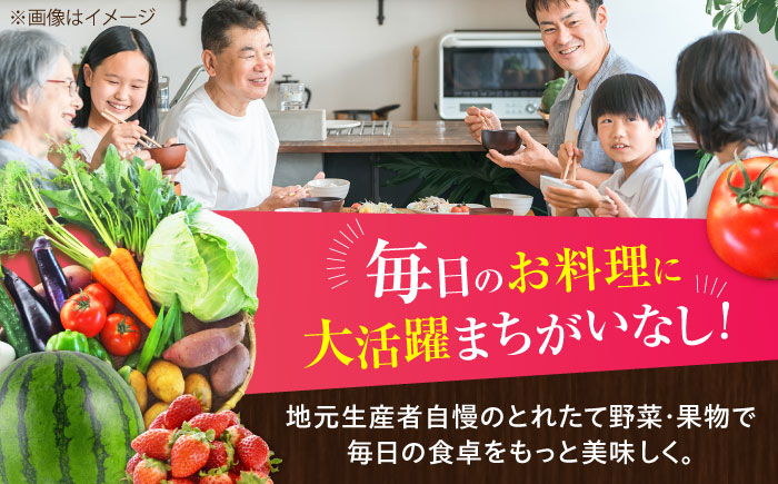 菊陽町特産品 「野菜・果物などの詰め合わせ」 / 新鮮 詰合せ フルーツ 野菜セット 旬 おまかせ にんじん ごぼう 直売所 やさい くだもの 熊本県 特産品 菊陽町 【有限会社さんふれあ】 [BHAK006]