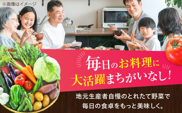 【全3回定期便】旬の 野菜セット (約3kg/野菜7-8品程度) / 野菜 新鮮 旬 詰合せ セット 熊本県 菊陽町 特産品 【有限会社さんふれあ】 [BHAK024]