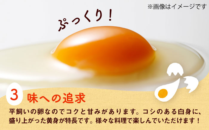 【全12回定期便】平飼い新鮮たまご 元気玉 計20個(10個×2パック) / 卵 ぷりぷり 新鮮 玉子 オムレツ たまごかけごはん 朝食 平飼い 濃厚 こく 熊本県 菊陽町【ぴよっこファーム】 [BHAP005]