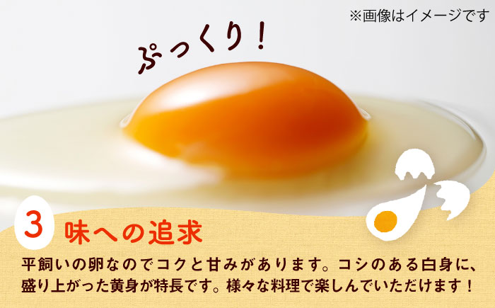 【全12回定期便】平飼い新鮮たまご 元気玉 計40個(10個×4パック) / 卵 ぷりぷり 新鮮 玉子 オムレツ たまごかけごはん 朝食 平飼い 濃厚 こく 熊本県 菊陽町【ぴよっこファーム】 [BHAP008]