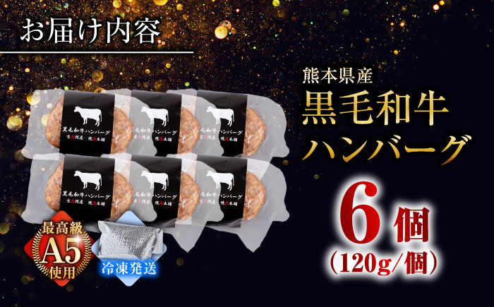 黒毛和牛 ハンバーグ 6個 (120g×1個入×6パック) 【株式会社中野畜産】 [BHAQ001]