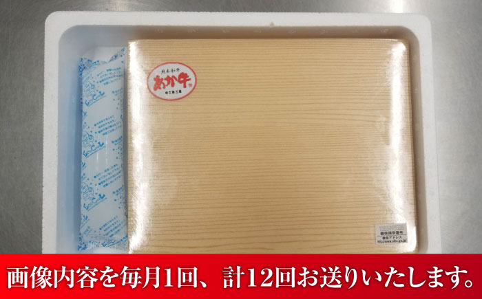 【全12回定期便】【GI認証】くまもとあか牛サーロインステーキ 約200g×3枚 / 菊陽町 あかうし 熊本県 肉 にく niku ブランド 旨み【有限会社 三協畜産】 [BHAS068]