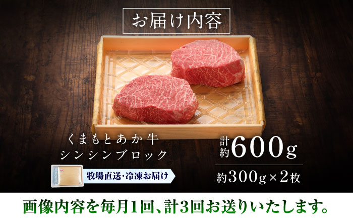 【全3回定期便】【GI認証】くまもとあか牛シンシンブロック 約300g×2枚 / 菊陽町 あかうし 熊本県 肉 にく niku ブランド 旨み 【有限会社 三協畜産】 [BHAS075]