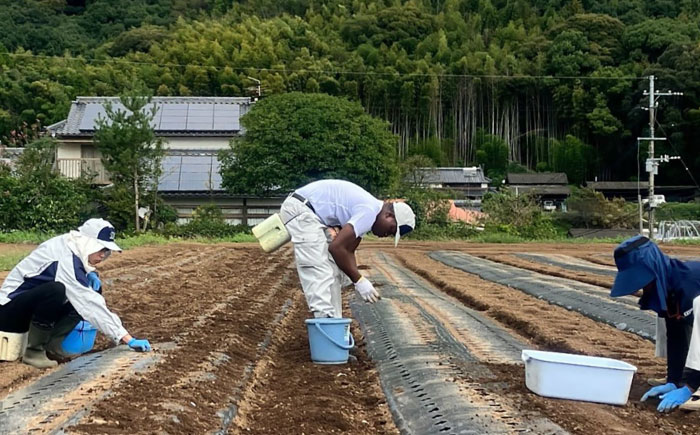 しらさぎファームの 黒にんにく 400g / にんにく ニンニク 国産 くろにんにく 200g×2パック 400g 免疫力 疲労回復 1日1粒 熊本県 菊陽町【白鷺電気工業株式会社】 [BHBE001]